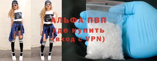 мдпв Дмитриев