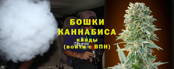 мдпв Дмитриев