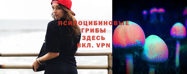 мдпв Дмитриев