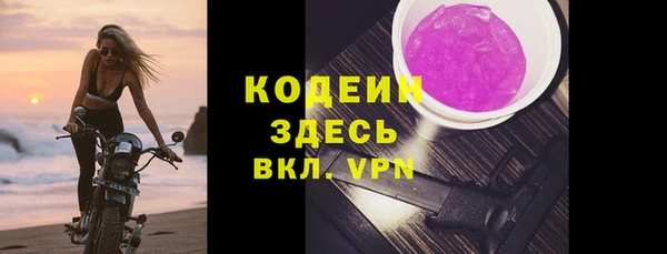 мдпв Дмитриев