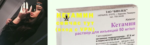 мдпв Дмитриев