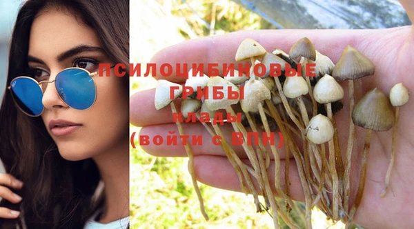 экстази Дмитров