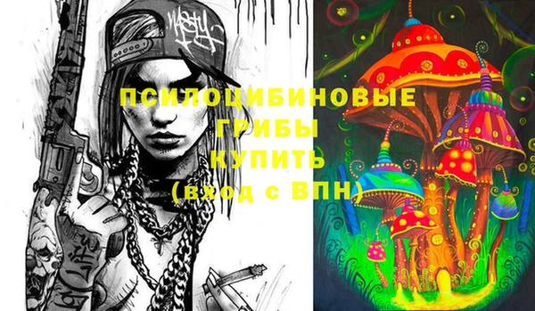 мдпв Дмитриев