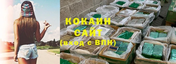 мдпв Дмитриев