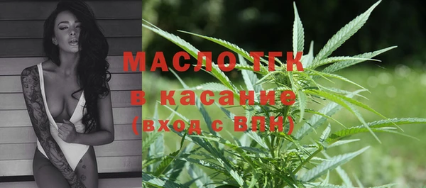 мдпв Дмитриев