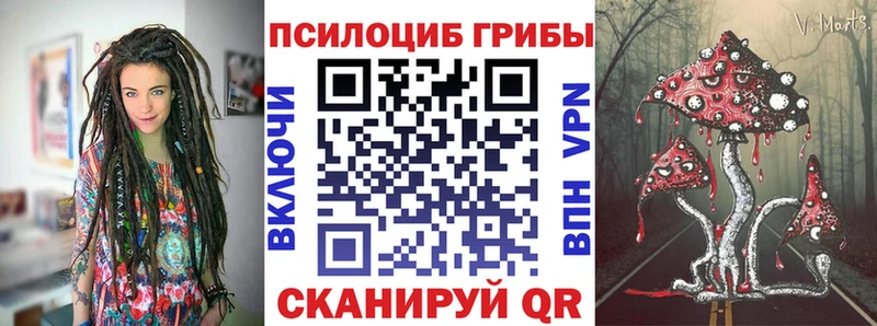 Купить закладки  Бузулук  Псилоцибиновые грибы Magic Shrooms 